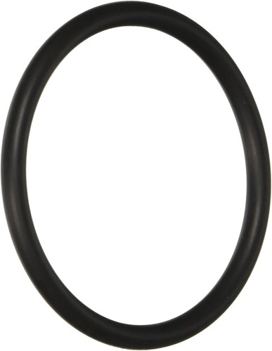 Ricambio ring grande - ricambio, o-ring